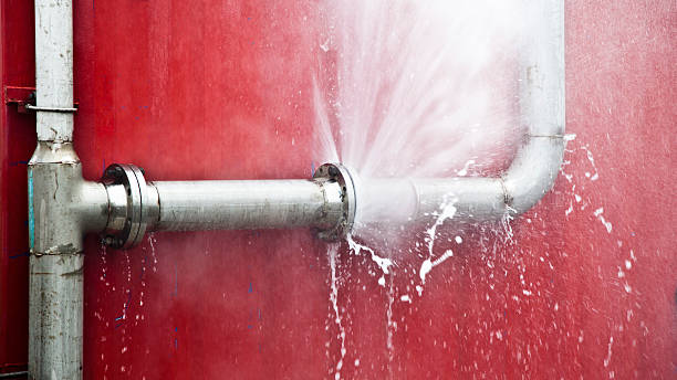 Best Mold removal after water damage  in Calumet, PA